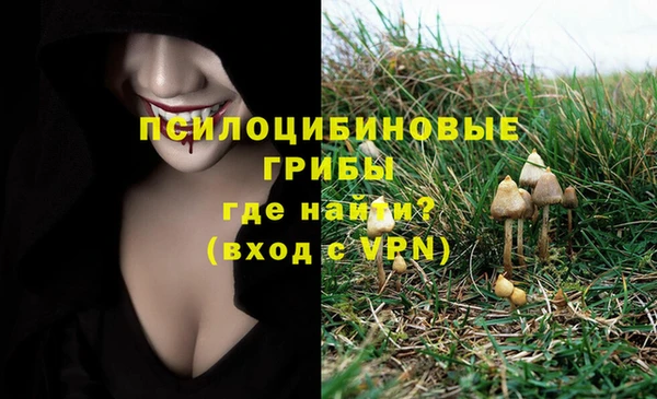 гидра Балабаново